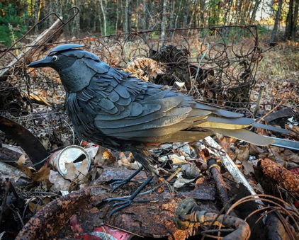 metal crow