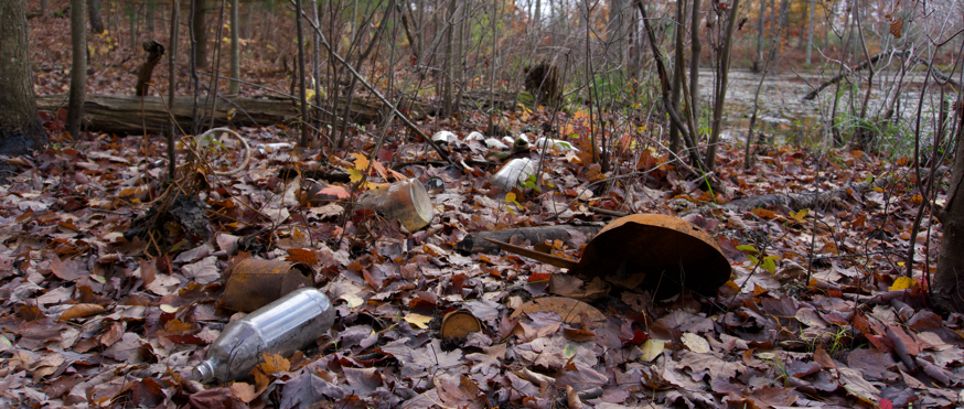 trash by pond